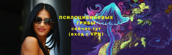ECSTASY Алексин